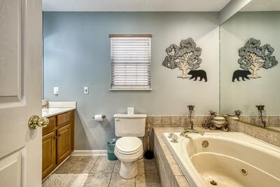 Triple the Mountain View upper level bathroom two