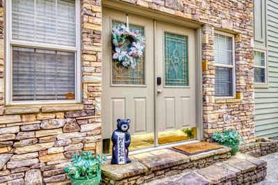 Triple the Mountain View entry into the cabin 
