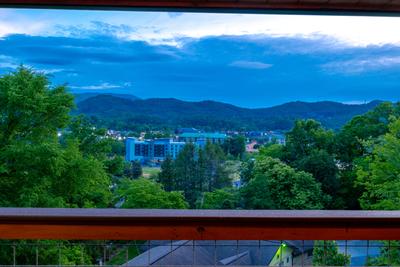 Honey Bear view of Pigeon Forge