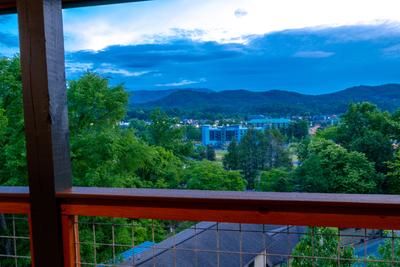 Honey Bear view of downtown Pigeon Forge