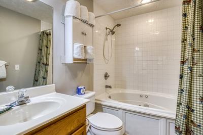 Lee's Creekside bathroom with jetted tub/shower combo