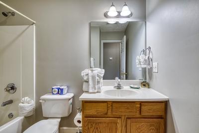 Lee's Creekside bathroom two with tub/shower combo