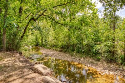 Lee's Creekside creek running behind cabin