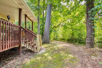 Lee's Creekside back yard