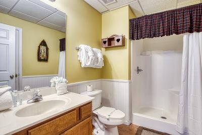 Whispering River lower level bathroom with walk in shower