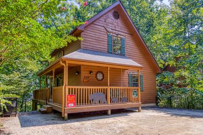 Forest Hollow cabin and parking area