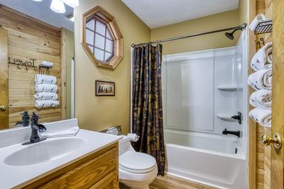 Forest Hollow main level bathroom with tub/shower combo