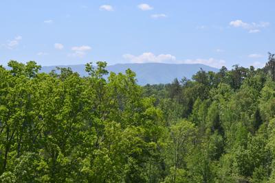 Pigeon Forge Smoky Mountain Panoramic Mountain  Views