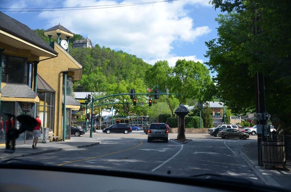 Gatlinburg Village 501