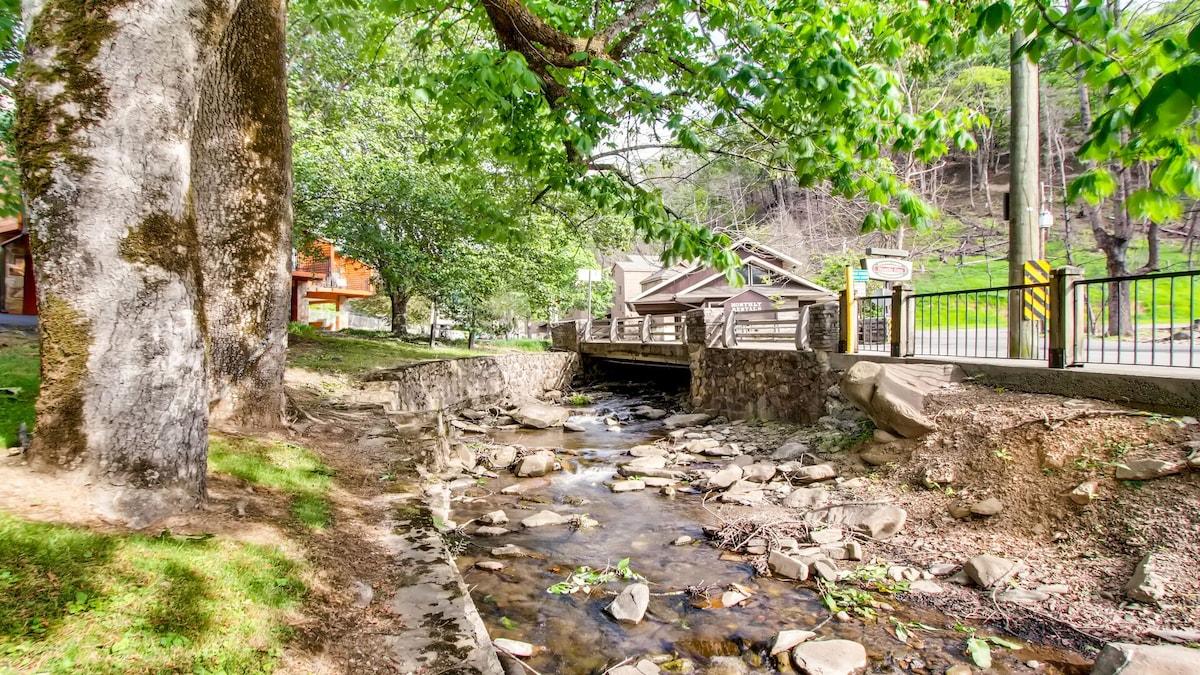 Gatlinburg Village 501