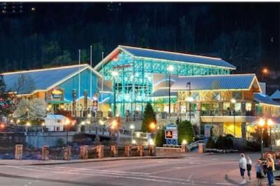 Gatlinburg Village 501