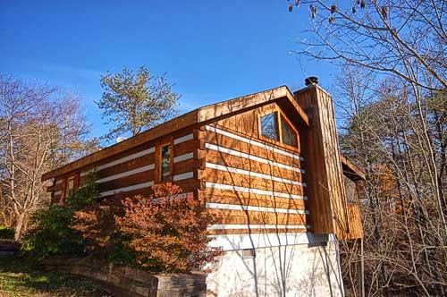 Bear Elegance 1 Bedroom Pet Friendly Cabin Rental in ...