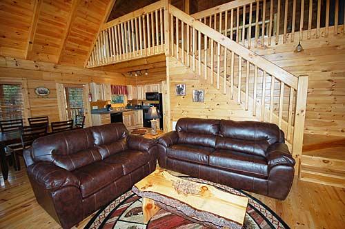 Living Room w/ Sofa Sleeper
