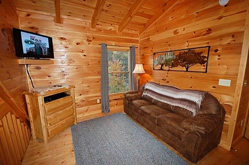 Loft w/TV and Sofa Sleeper