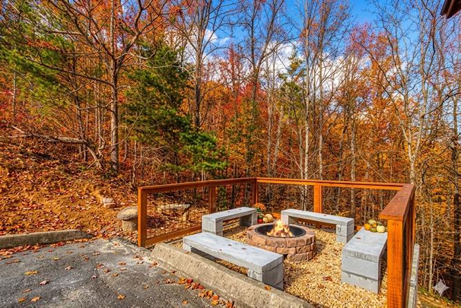 BEAR-RIFFIC VIEW  Cabin Rental