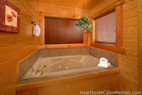 BEAR-A-DISE IN THE SMOKIES Cabin Rental BEAR-A-DISE IN THE SMOKIES Cabin Rental