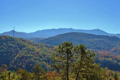 GATLINBURG VIEW LODGE