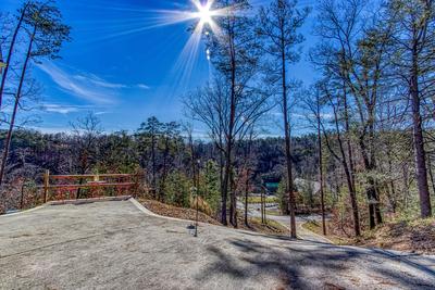 TREETOP VIEWS