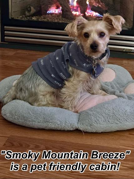 Smoky Mountain Breeze