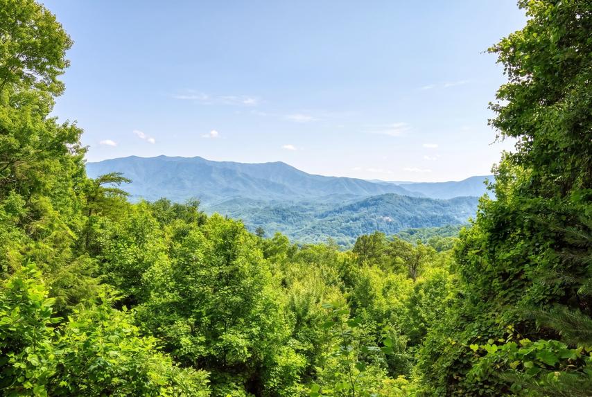 Peak A View