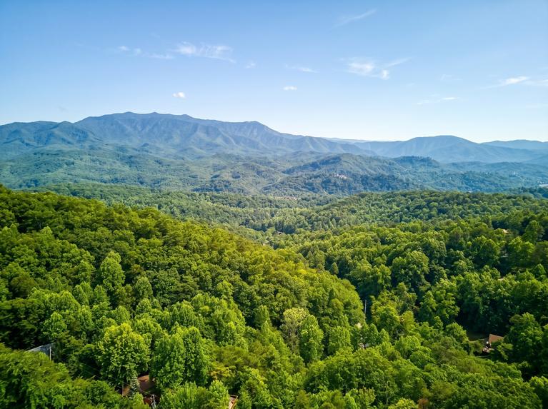 Peak A View