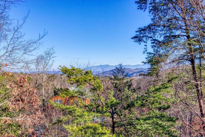 View from the deck of Morning Glory Cabin