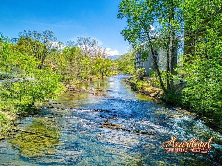 River Romance 