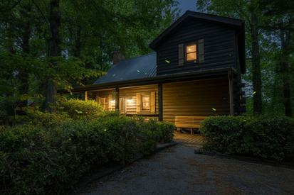 Chasing Fireflies