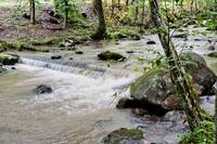 Enjoy nature's finest with a running stream