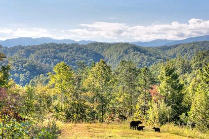 Mountain views of this one bedroom Pet Friendly Cabin in Pigeon Forge