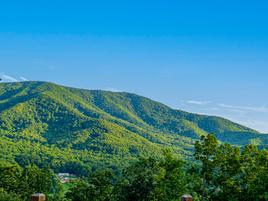 Taken at Firefly Cove in Gatlinburg TN