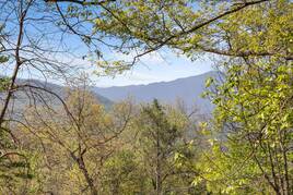 Taken at A Southern Point of View in Gatlinburg TN