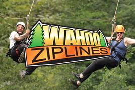 Minutes from all the areas attractions! at Topsy  in Pigeon Forge TN