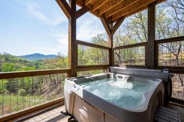Taken at Gi-Pa’s Getaway in Pigeon Forge TN