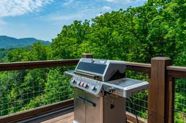 Taken at Gi-Pa’s Getaway in Pigeon Forge TN
