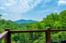 Taken at Gi-Pa’s Getaway in Pigeon Forge TN