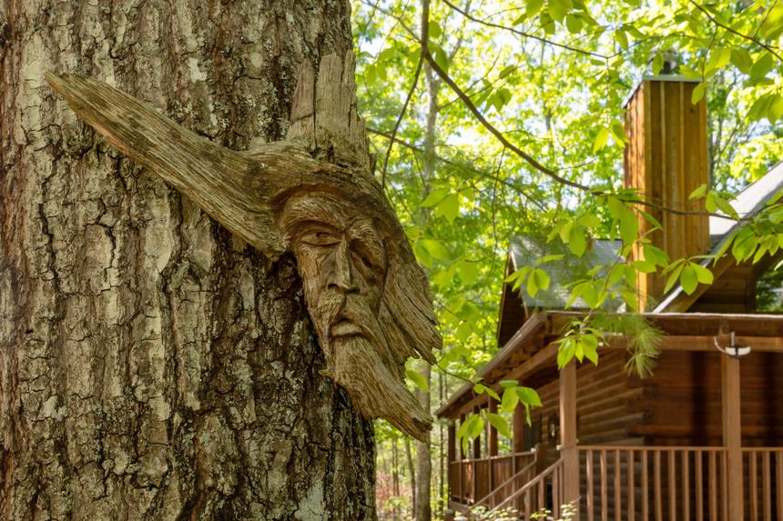 Balsam Mist Lodge