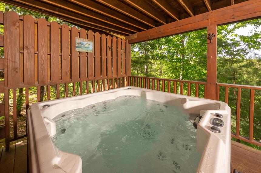 Balsam Mist Lodge