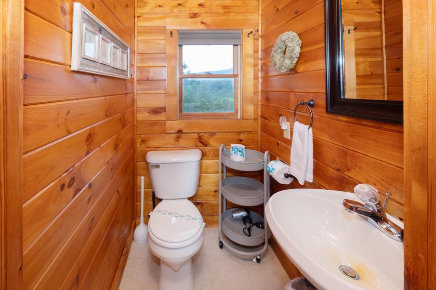 Cabin Fever