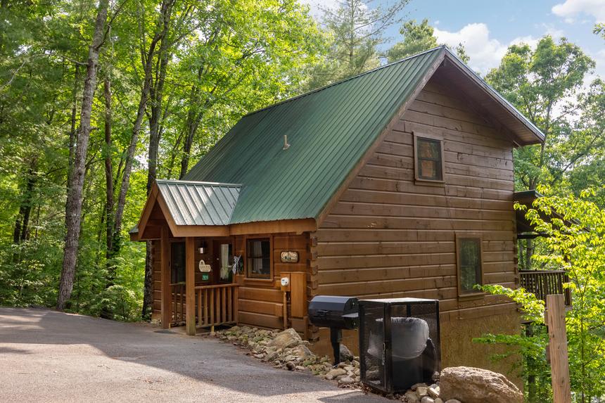 Cabin Fever