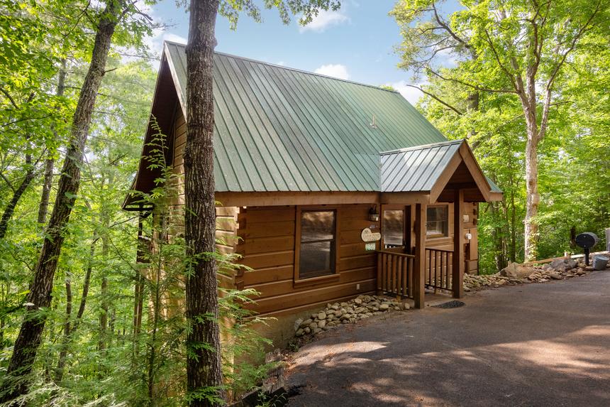 Cabin Fever