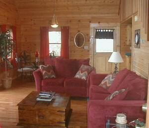 Knotty and Nice cabin living room