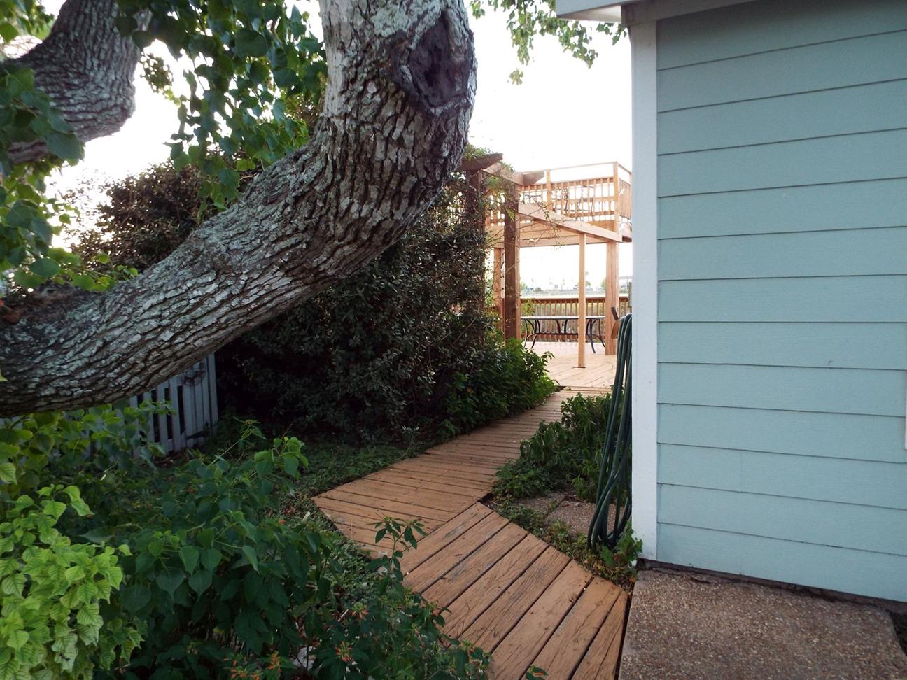 Wooden walkway bordered by greenery and a large tree, leading from a coastal home to a raised deck overlooking the water.