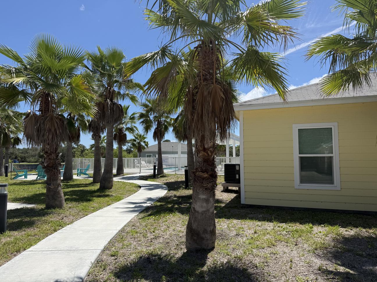Sidewalk leading away from the yellow house to the pool, palm trees on either side. 