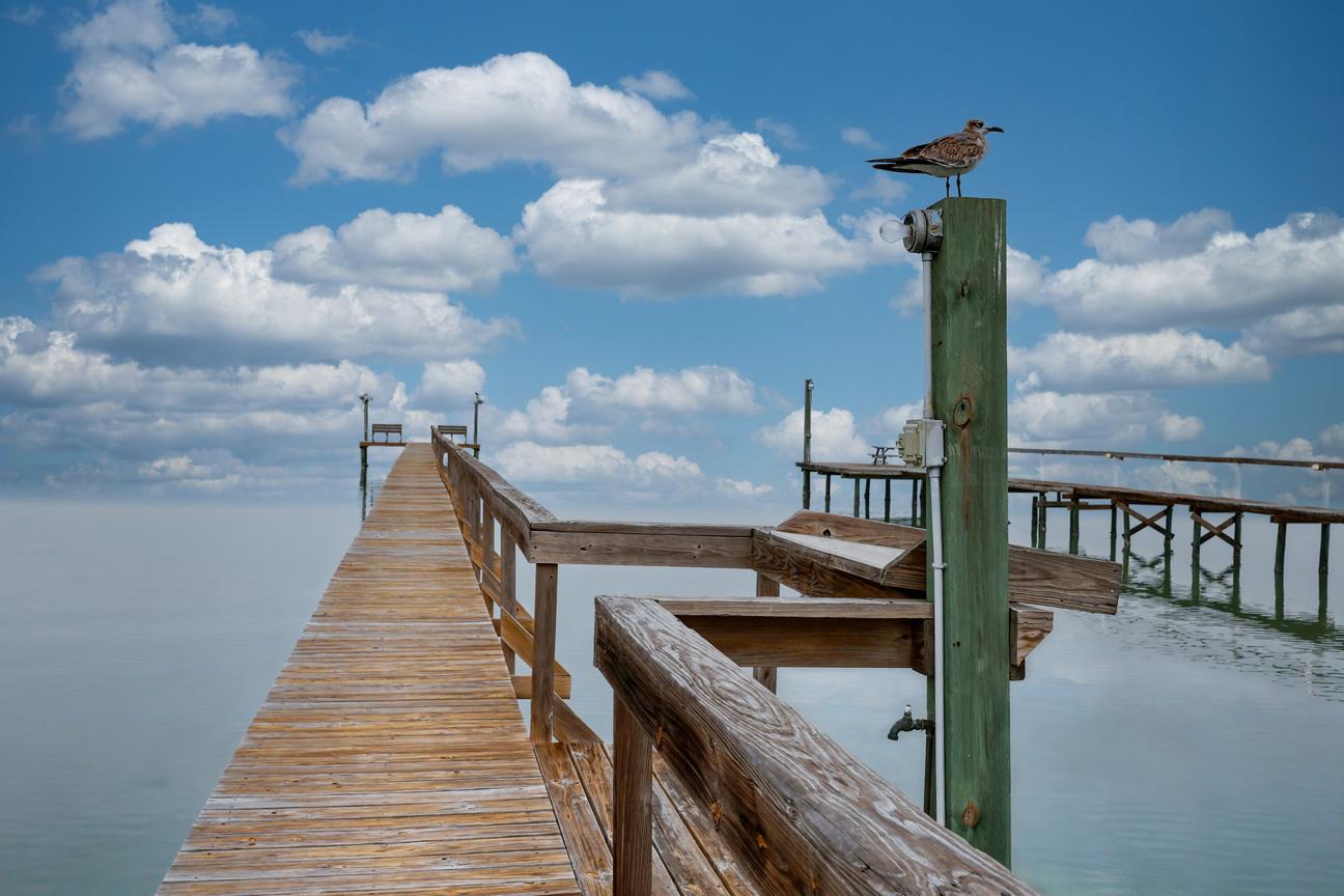 Long wooden pier with railings leading over bay water to a bench platform, with a seagull perched on a light post.