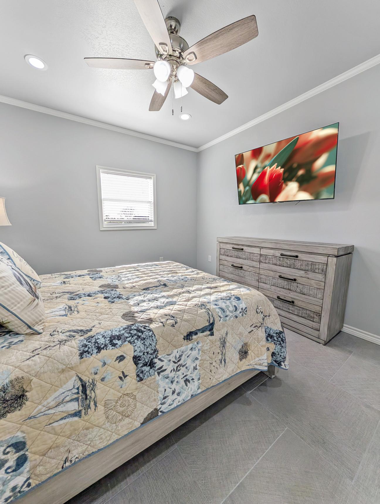Queen size bed, coastal bird themed decor and smart tv