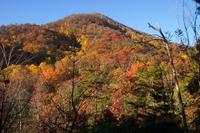Taken at Secluded Romance 51 in Gatlinburg TN