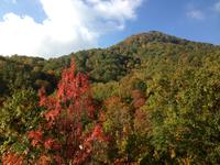 Smoky Mounatin View from Secluded Romance Screen Porch at Secluded Romance 51 in Gatlinburg TN
