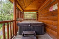 Taken at Chilling Bear Lodge 164 in Gatlinburg TN