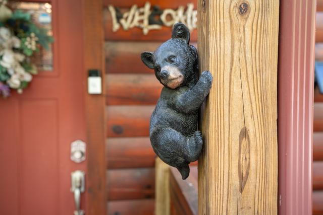 Taken at 210 Cubs in the Treetops in Phase II TN